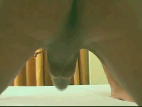 Free porn pics of Transsexual Girls in Action #07 8 of 100 pics