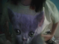 Free porn pics of kikikatmeow 3 of 13 pics